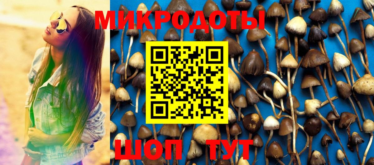 Галлюциногенные грибы ЛСД Заинск